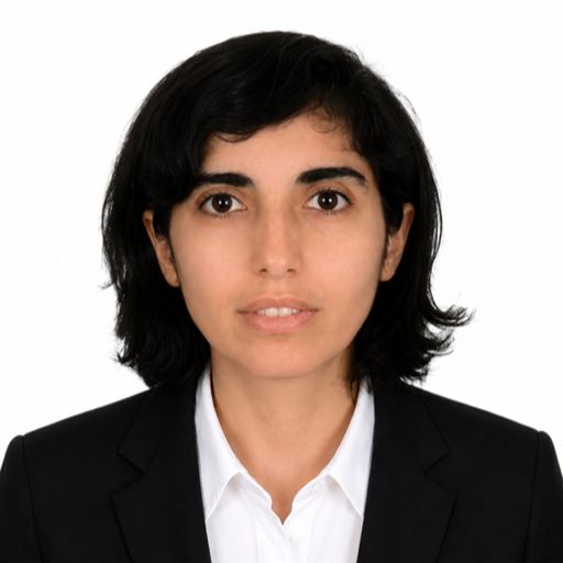 Hülya Özkoçak